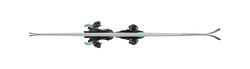 Nordica Wild Belle DC 84 Womens Skis 2025